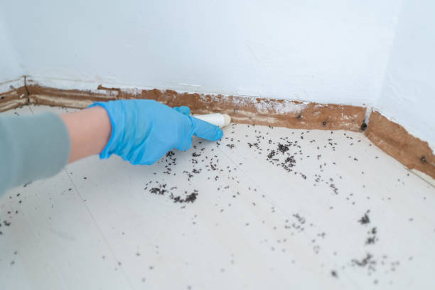 Best Pest Removal Services  in Richlands, NC
